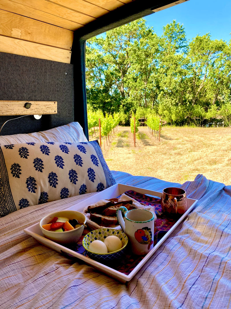 Relaxing in an RV rental with breakfast in bed: a tray holds fruit, eggs, bread, & mugs, overlooking a vineyard view. — photo 5