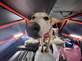 Close-up of a happy dog overseeing the packed interior of an RV rental, with lights, luggage, and pet gear ready for travel.