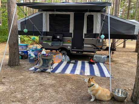 Perfect campsite setup! This RV rental, a pop-up camper, has an awning, camping gear, and a happy dog enjoying the outdoors.