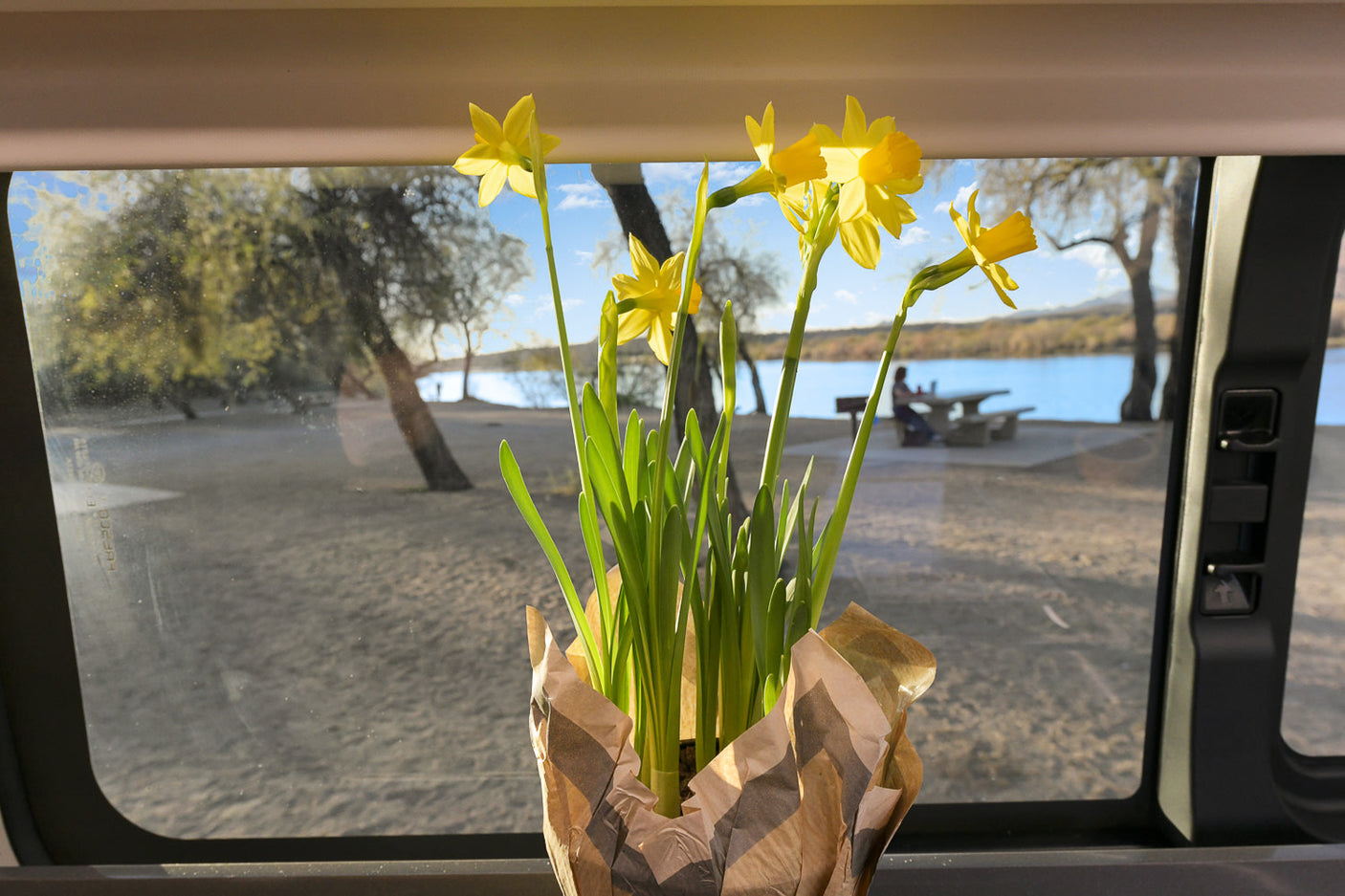 Cheerful daffodils brighten an RV rental window view of a lakeside campsite, sandy shore, and picnic spot.