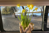 Cheerful daffodils brighten an RV rental window view of a lakeside campsite, sandy shore, and picnic spot.
