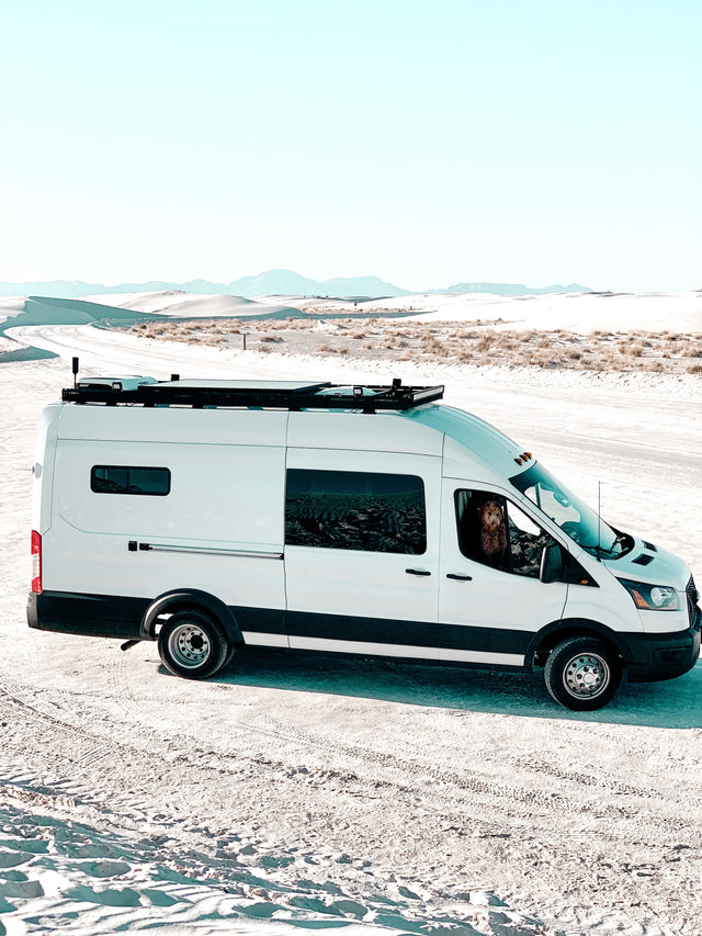 White camper van (rv rental) in white sand dunes. A dog peeks from the window. Perfect for adventurous travel!