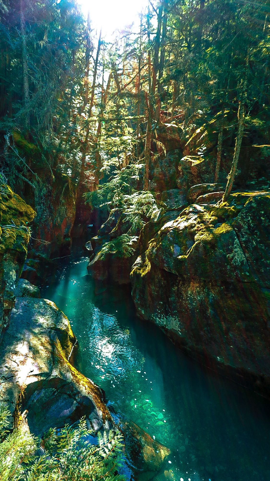 Vibrant turquoise river flows through a sun-dappled, mossy forest gorge. Enhance your nature exploration with an RV rental.