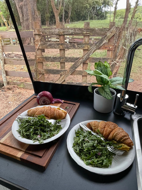 Enjoying an RV rental meal with croissants, arugula salad, and an outdoor view through the mesh window.