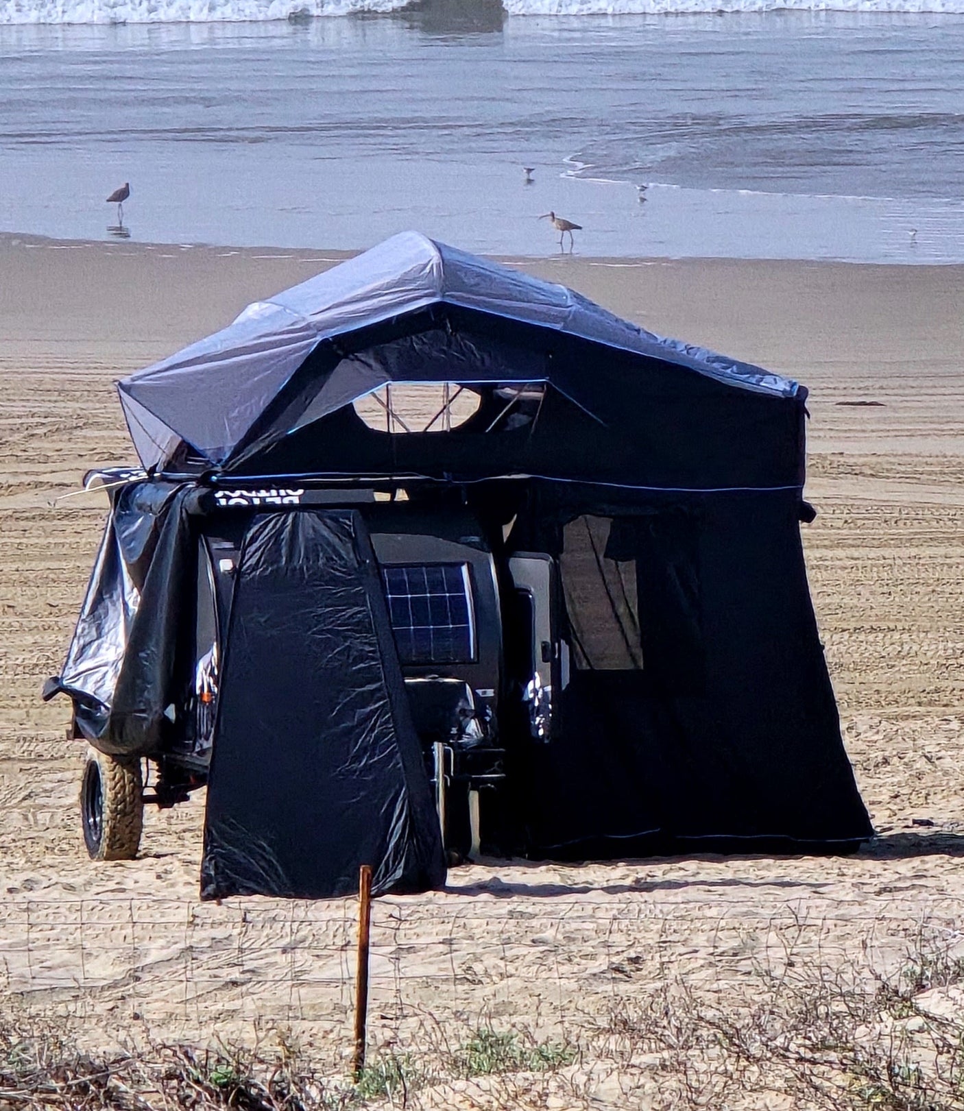 A black rv rental camping trailer with an attached tent is set up on a sandy beach with the ocean and shorebirds nearby.