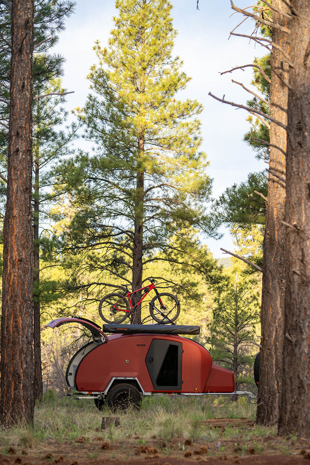 Red escapod teardrop RV rental with a mountain bike mounted on top, parked in a sunlit pine forest.