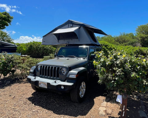 2019 Jeep Wrangler — photo 4