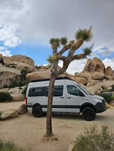White RV rental camper van parked beside a Joshua tree and large rock formations in the desert. Perfect for adventure!
