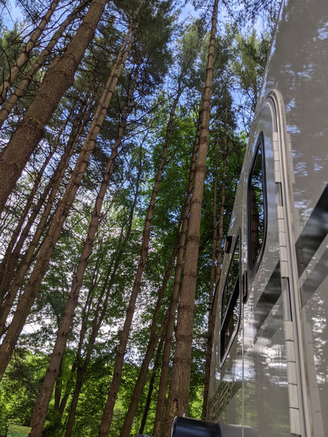 Tall trees tower over a gleaming rv rental, its side reflecting the lush green canopy and blue sky in a peaceful campsite.