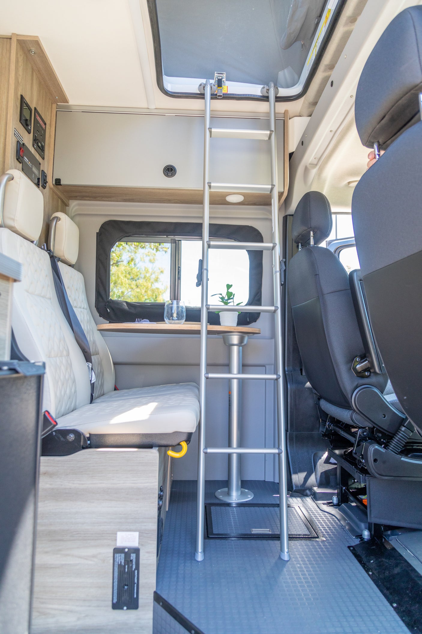 An RV rental's versatile interior, featuring a bunk ladder, dining table with plant, comfortable seating, and window views.