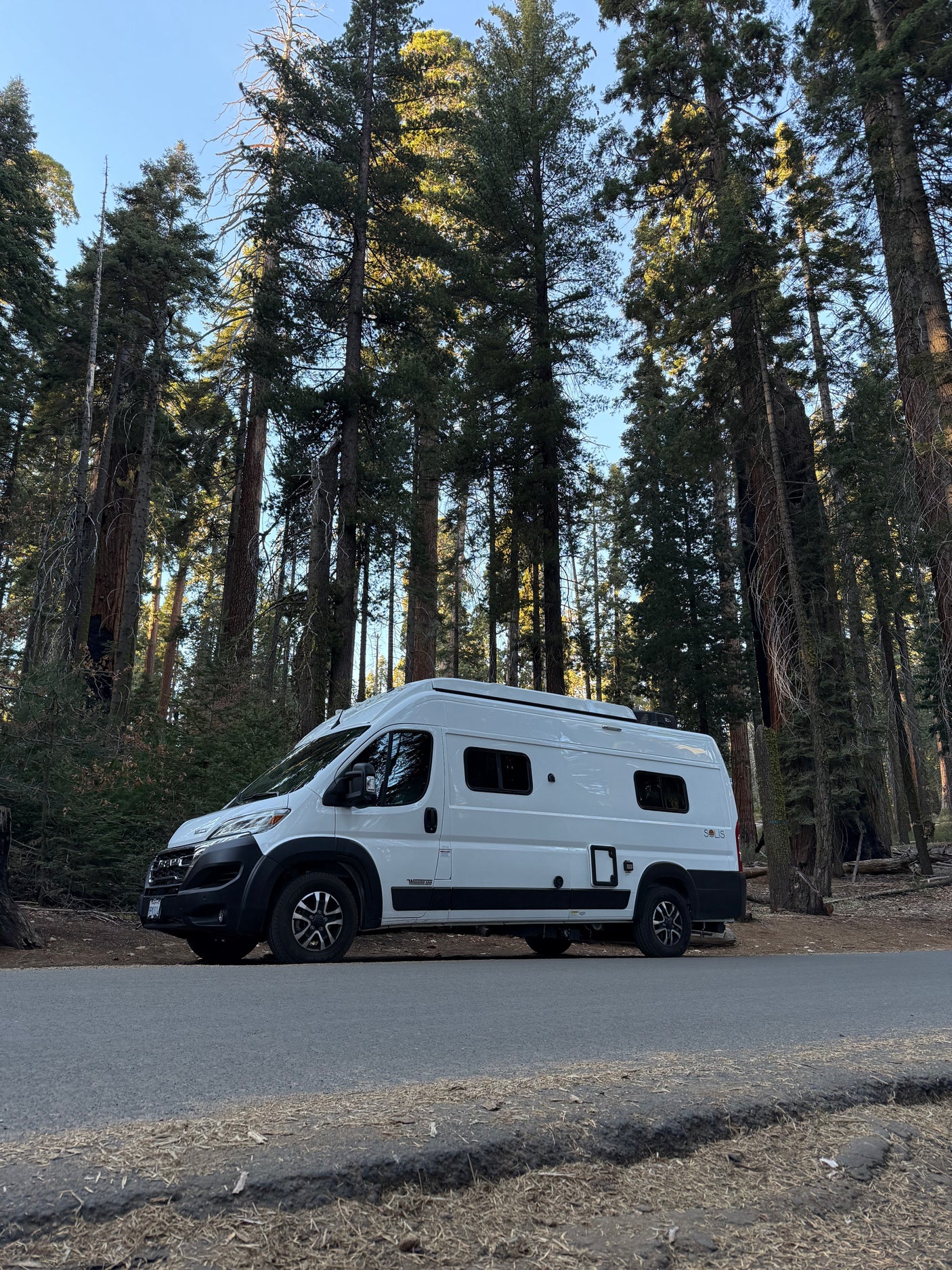 White RV rental camper van parked on a forest road, surrounded by majestic, sun-dappled towering trees. A nature escape.