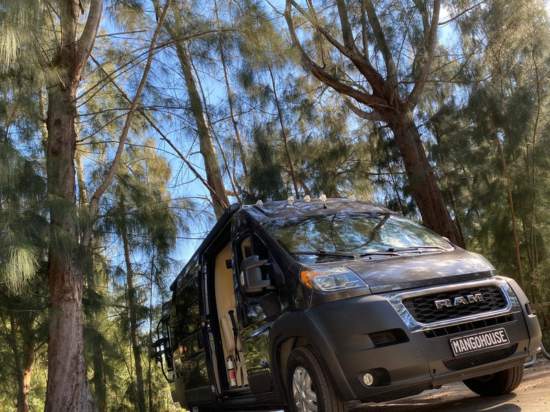 Black Ram ProMaster RV rental van, 'MANGOHOUSE', under tall pine trees. Perfect for your next outdoor travel adventure! — photo 18
