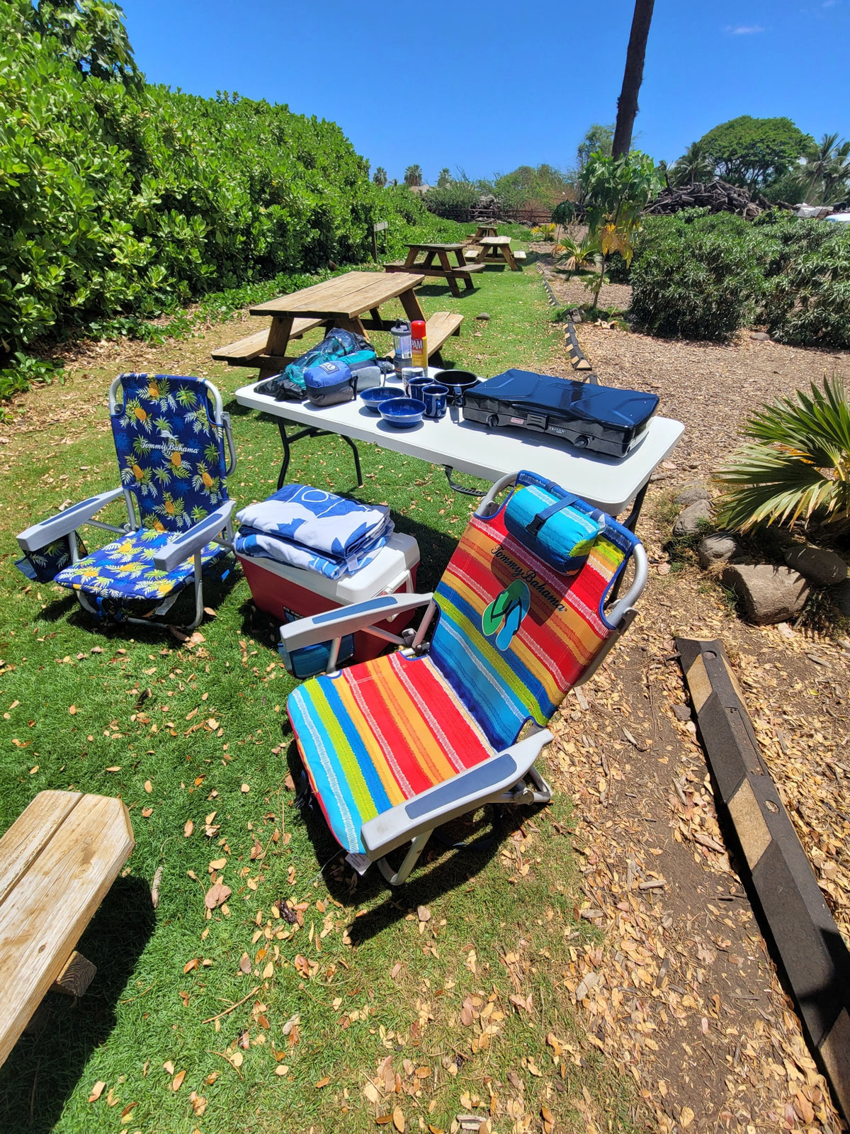 Perfect RV rental camping spot! Picnic area set up with chairs, cooler, & Coleman stove for outdoor cooking and relaxation. — photo 13