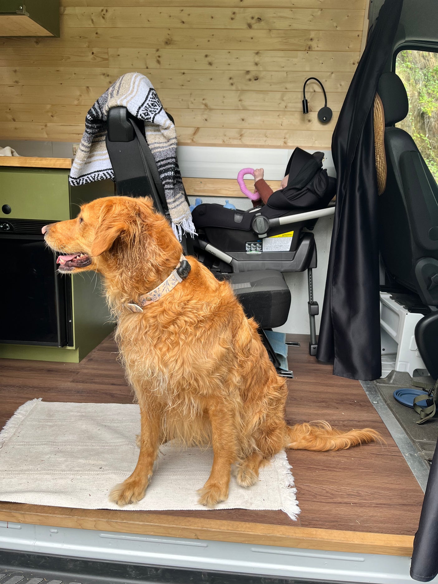 Golden retriever relaxing on a rug in a pet-friendly RV rental. Baby's car seat also visible in the cozy camper.