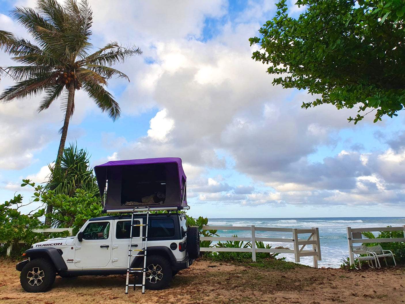 RV rental camping on the beach: White Jeep Wrangler with a purple rooftop tent by the ocean, under a palm tree and cloudy sky.