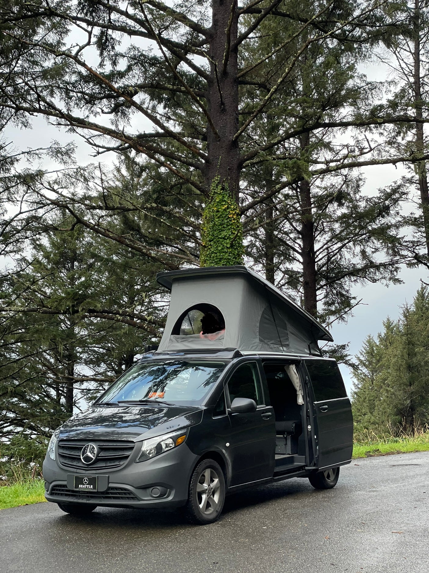 An RV rental: a dark Mercedes-Benz camper van with its pop-top roof open, parked by tall mossy trees on a wet road.