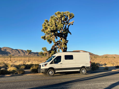 Experience the desert in an RV rental van, parked amidst iconic Joshua Trees under a clear blue sky.