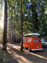 An orange vintage VW camper van, available for rv rental, basks in sunbeams within a lush redwood forest.