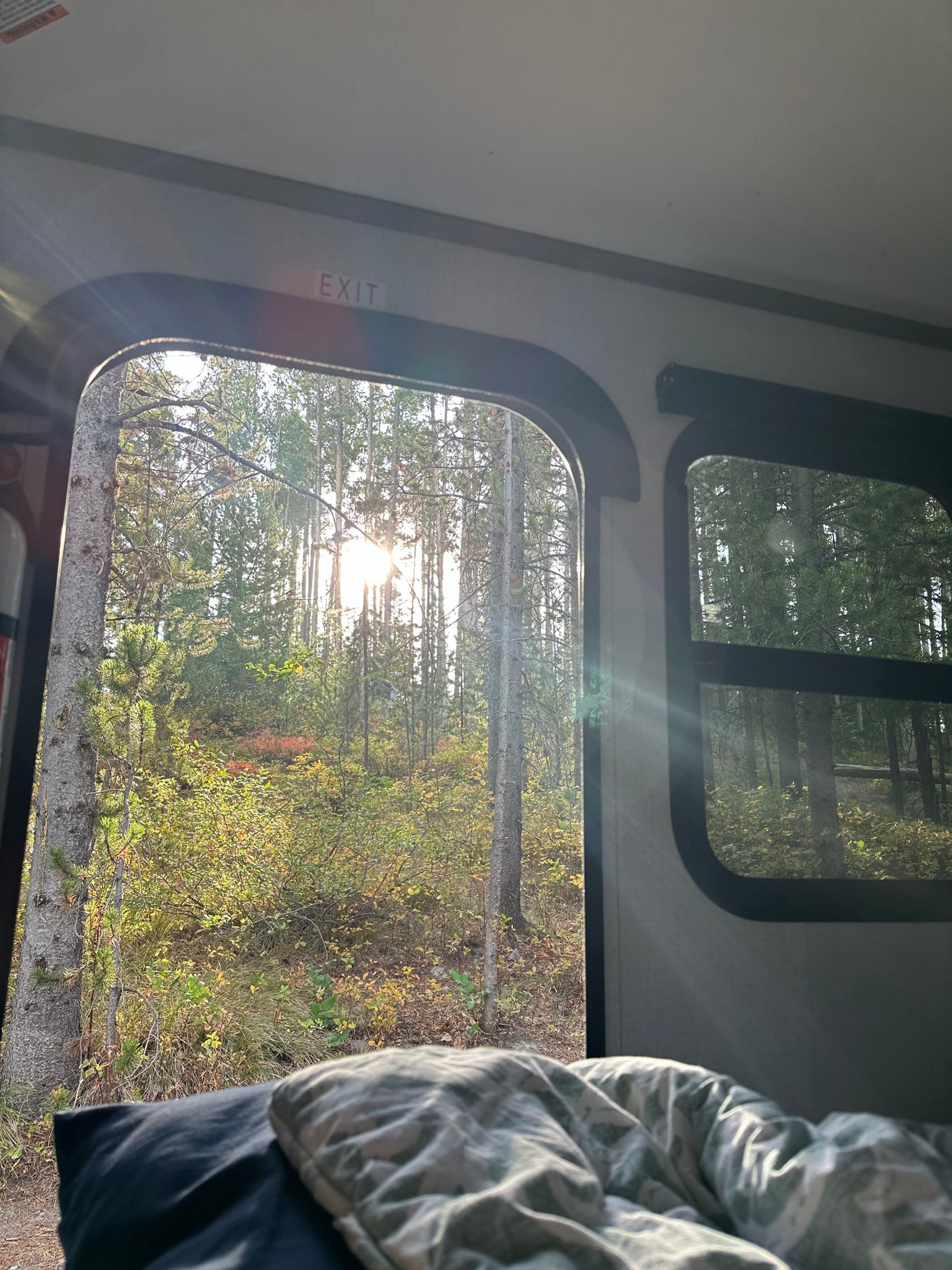 Waking up inside an RV rental to sunlit forest views. Cozy blanket and pillow in foreground, looking out through the open exit door.