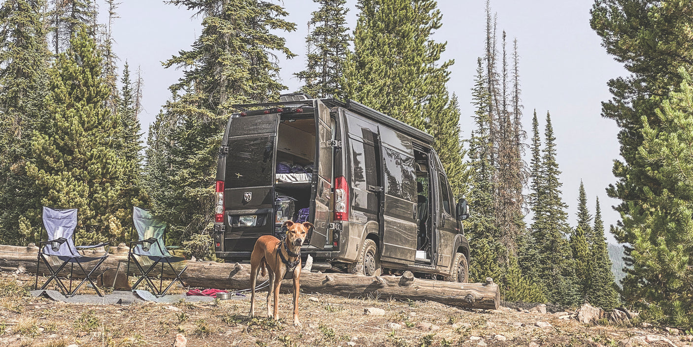A dark camper van with open doors, a dog, and camping chairs set up in a pine forest campsite. Perfect RV rental for adventure.