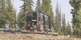 A dark camper van with open doors, a dog, and camping chairs set up in a pine forest campsite. Perfect RV rental for adventure.