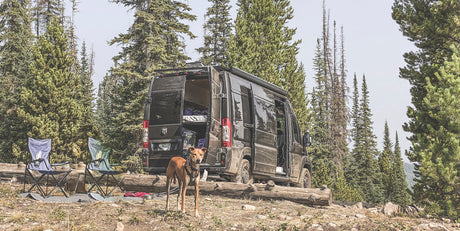 A dark camper van with open doors, a dog, and camping chairs set up in a pine forest campsite. Perfect RV rental for adventure.