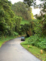 A Jeep, resembling an RV rental with a rooftop tent, parked on a winding road through a vibrant green jungle, perfect for nature exploration.