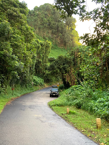 A Jeep, resembling an RV rental with a rooftop tent, parked on a winding road through a vibrant green jungle, perfect for nature exploration.