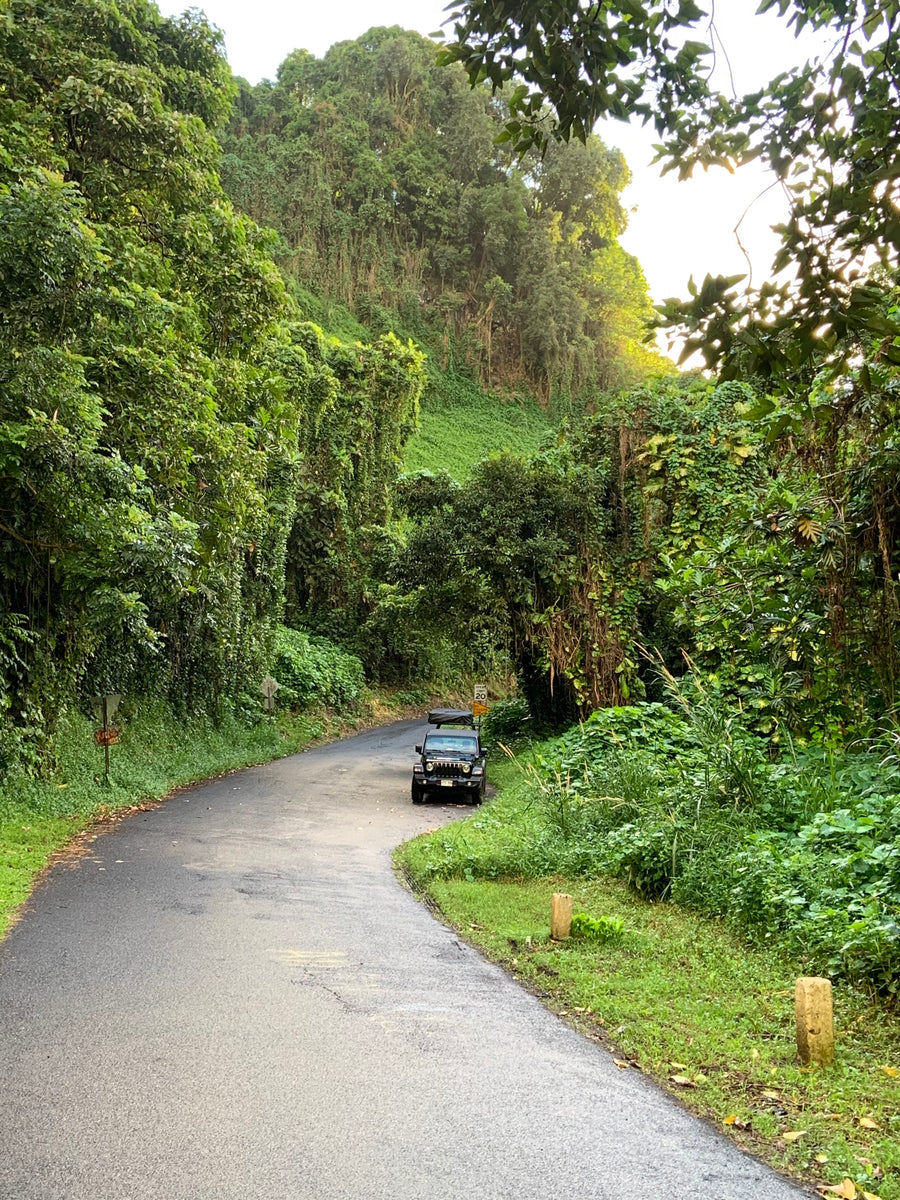 A Jeep, resembling an RV rental with a rooftop tent, parked on a winding road through a vibrant green jungle, perfect for nature exploration.