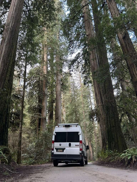 Sunni the Van - pet friendly | shower | AC | spacious — photo 5