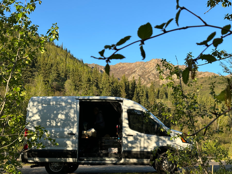 White RV rental van parked roadside in a stunning mountain forest, door open to reveal a person & pet crate inside.