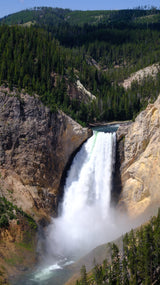 Iconic Lower Falls of Yellowstone, thundering into a dramatic canyon. An RV rental provides access to this incredible view.