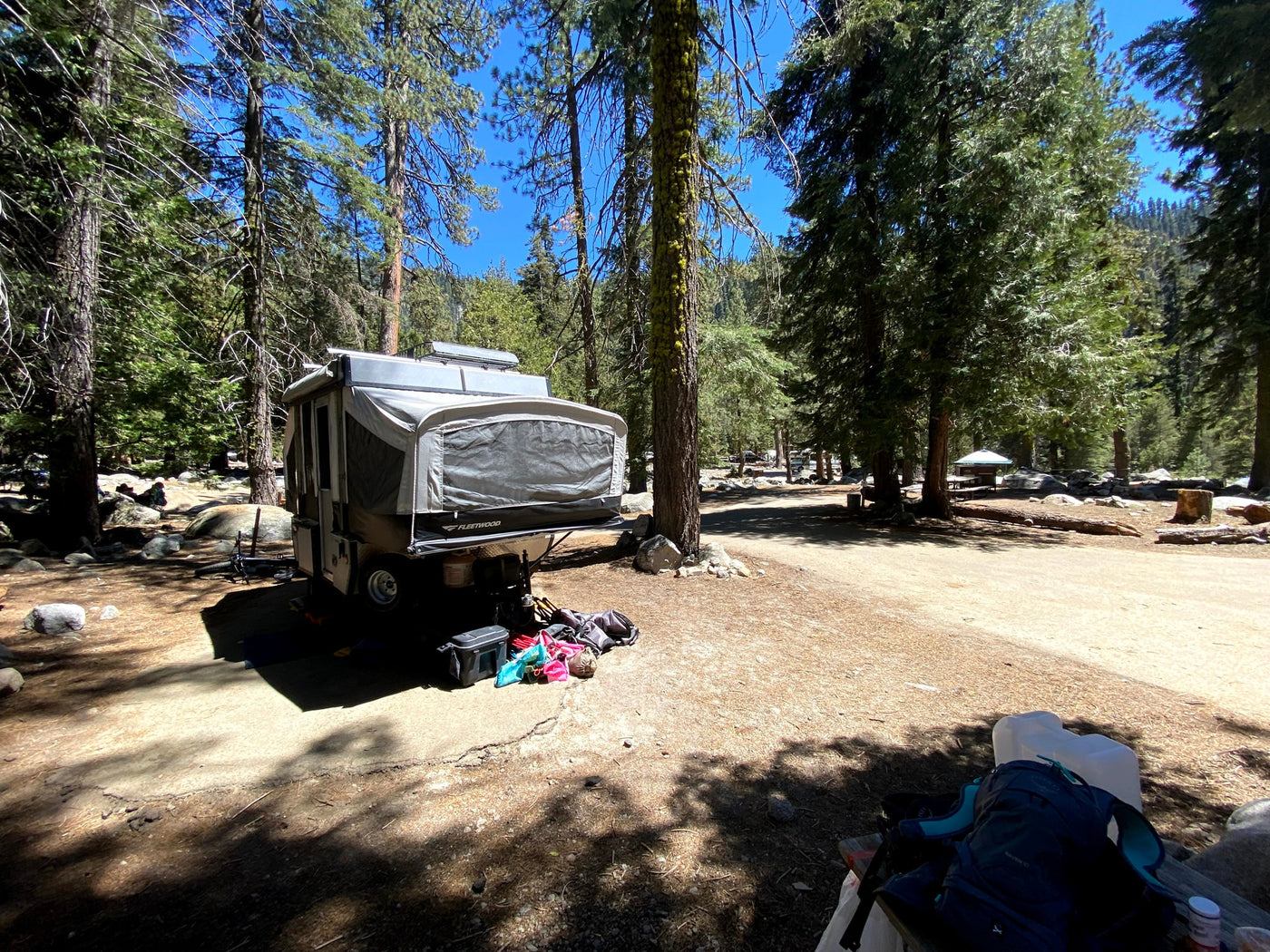 A pop-up RV rental set up in a sunny forest campsite. Tall pine trees, scattered rocks, and camping gear visible. — photo 15