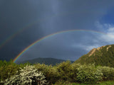 2024 4WD Winnebago Revel 44E "Judy" Unlimited Miles Mighty 5 + Starlink