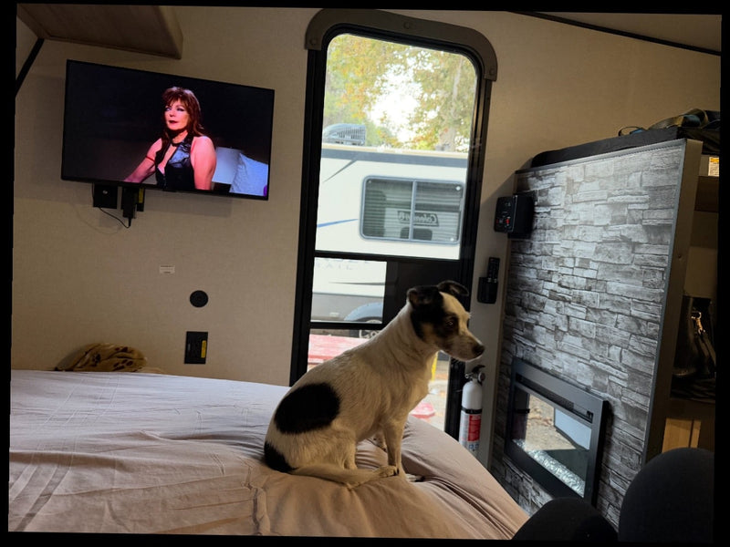  bunk bed over a fireplace — photo 6