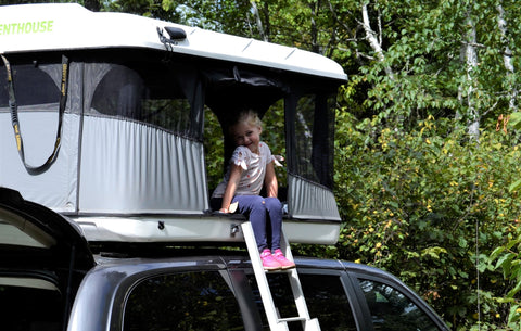2018 Versatile Campervan. 20+MPG.  Easy to Drive. 100 free miles per day. — photo 3