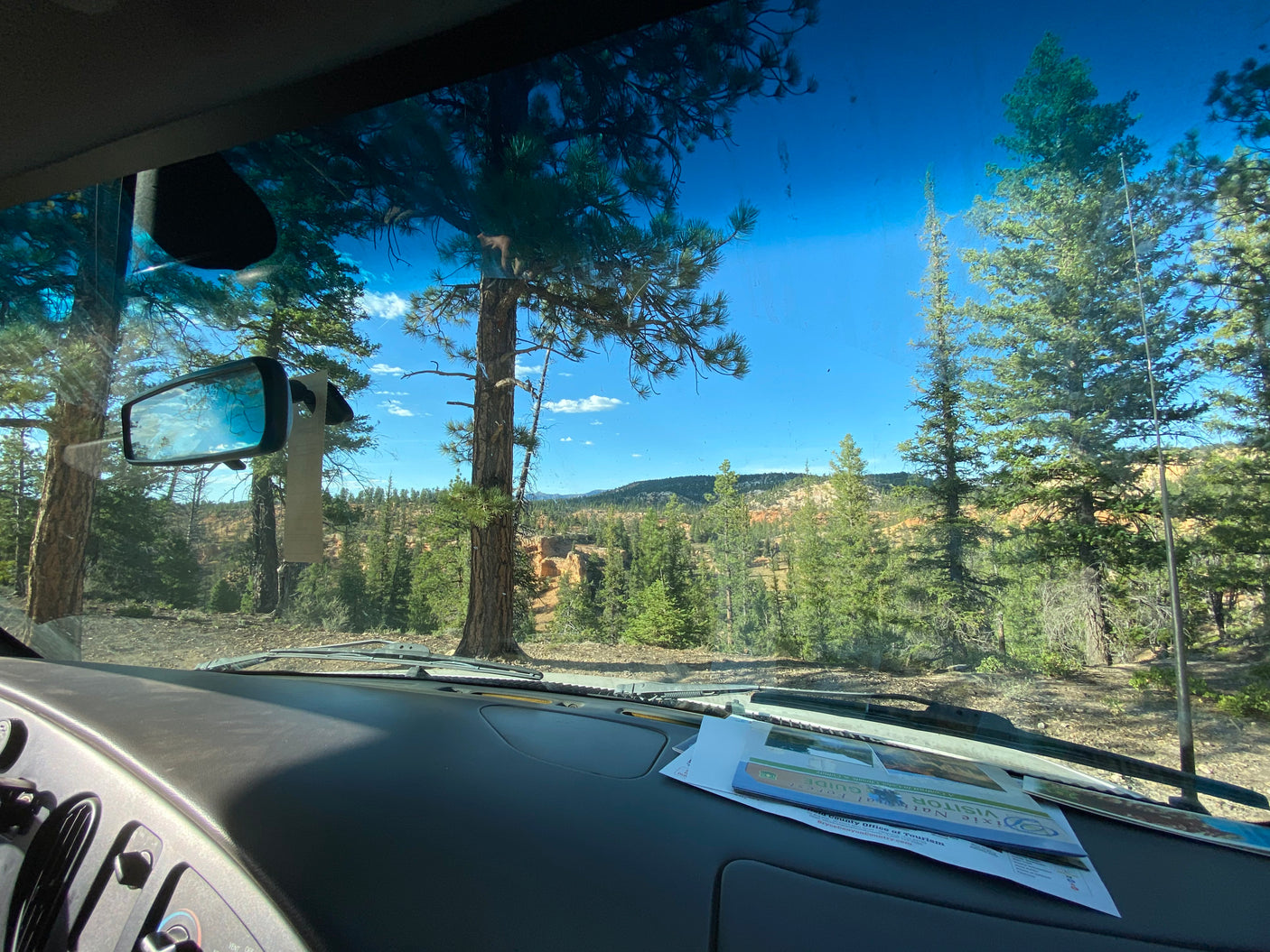 An RV rental provides this National Forest view: tall pine trees, distant canyons, and blue skies for a road trip.