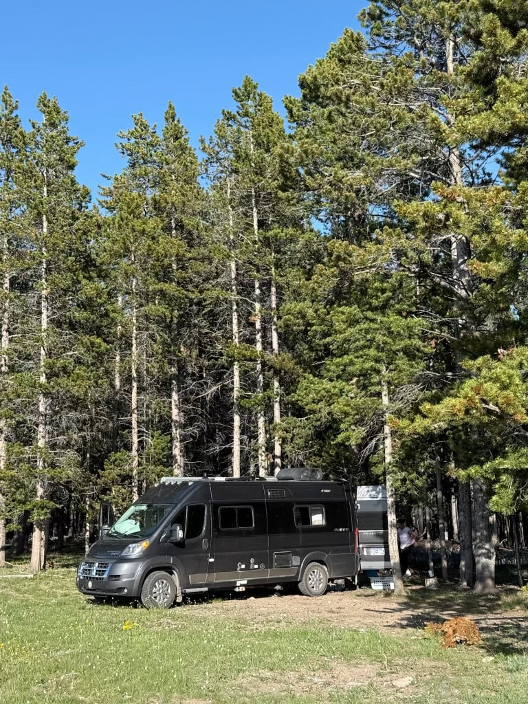 Dark RV rental camper van parked in a sunny forest, offering a tranquil outdoor camping experience under clear skies.