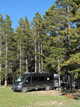 Dark RV rental camper van parked in a sunny forest, offering a tranquil outdoor camping experience under clear skies.