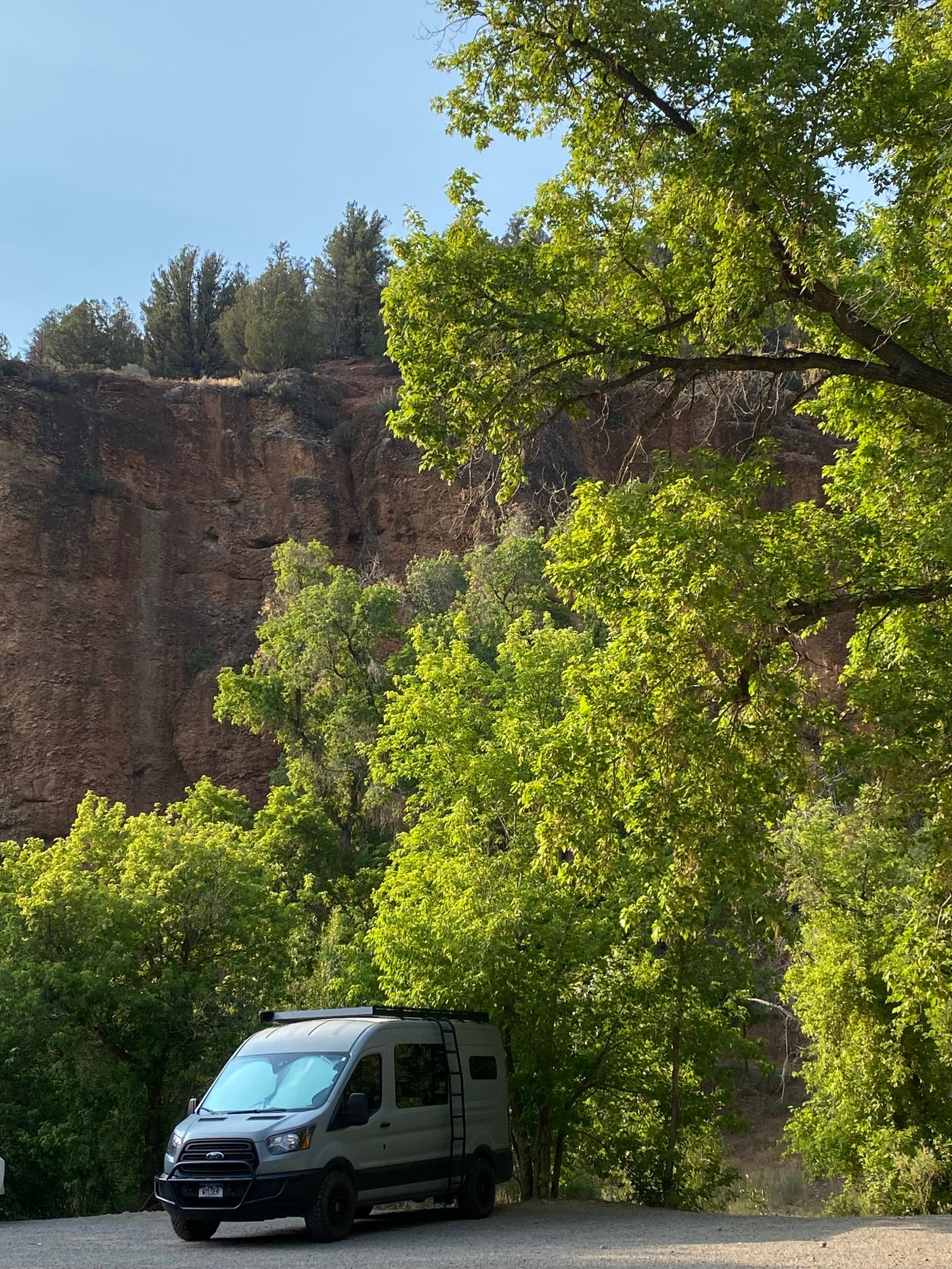Explore nature with an RV rental! Grey camper van nestled among green trees, overlooking a majestic cliff.