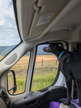 A black dog in an RV rental looks out at fields and mountains, enjoying the scenic road trip view.