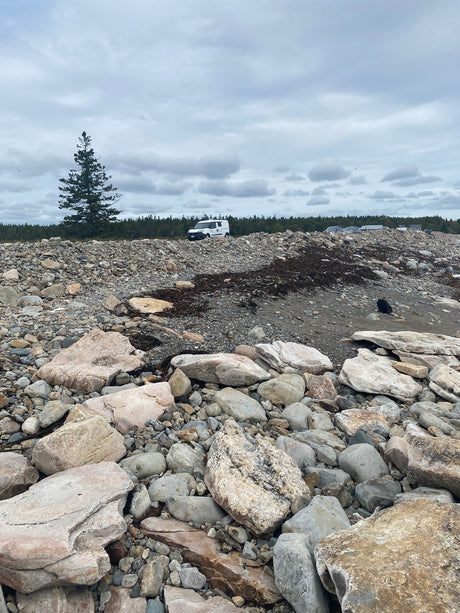 An RV rental van sits on a gravel rise above a rocky beach and forest under a gray sky.