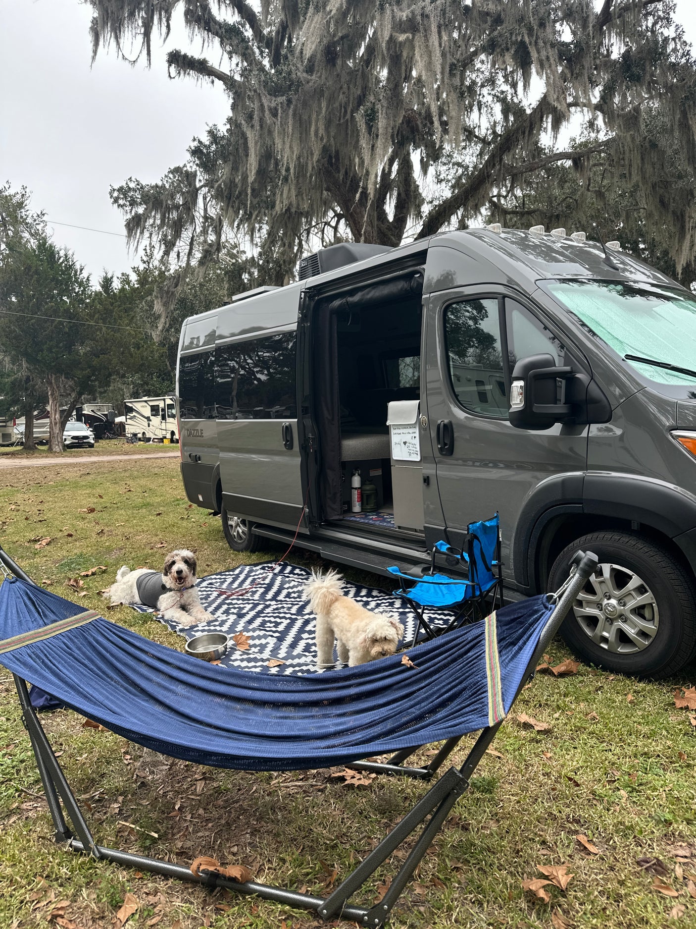An RV rental campsite setup, featuring a grey camper van, two dogs, and a hammock under Spanish moss trees.