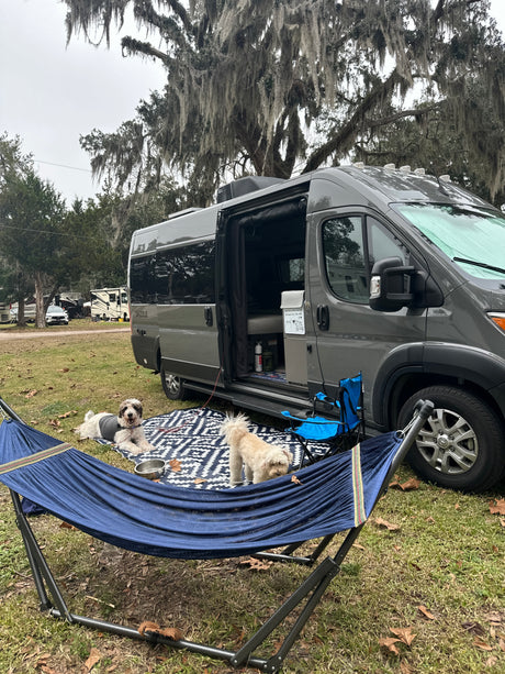 An RV rental campsite setup, featuring a grey camper van, two dogs, and a hammock under Spanish moss trees.