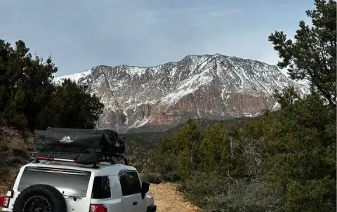 2011 Toyota FJ Cruiser