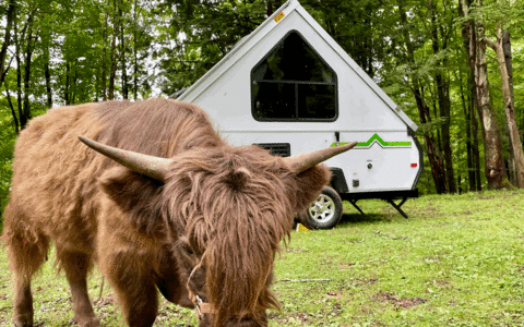 Cute + Minimal A-frame (Aliner)