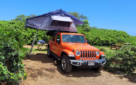 2019 Jeep Wrangler