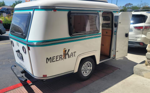 2021 Meerkat Mini Pearl